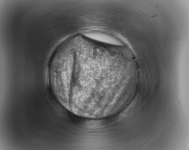 X0000088061171200706081643