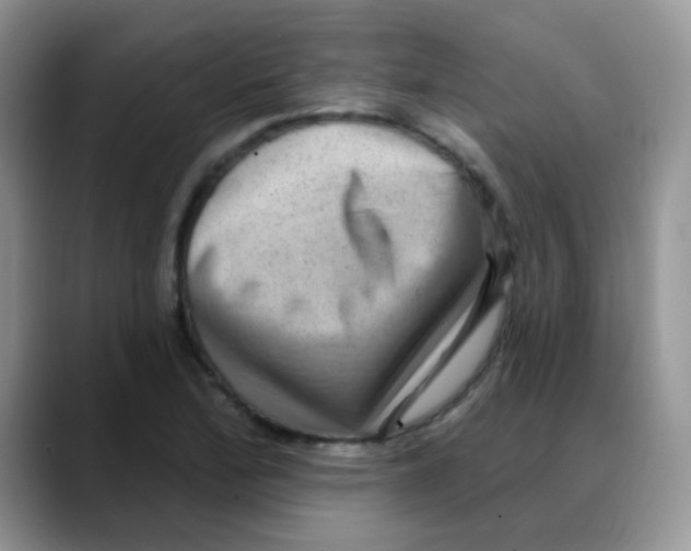 X0000088061172200706081643