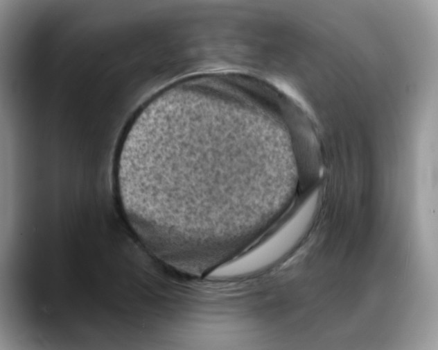 X0000088061173200706081643