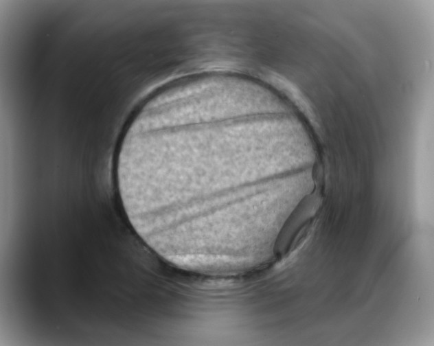 X0000088061174200706081643