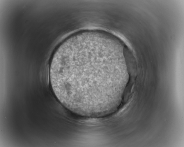 X0000088061175200706081643