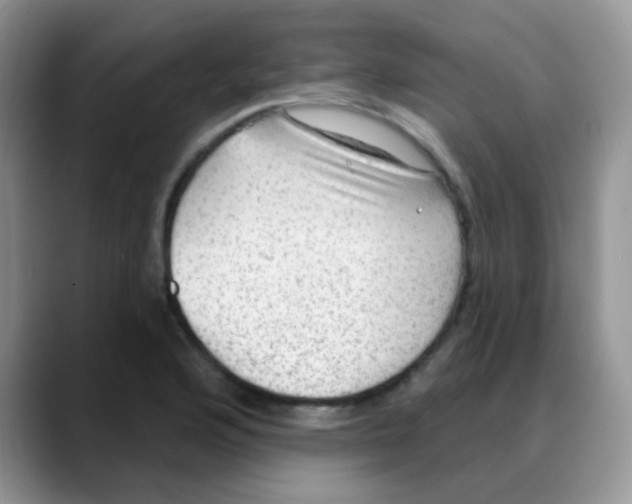 X0000088061176200706081643