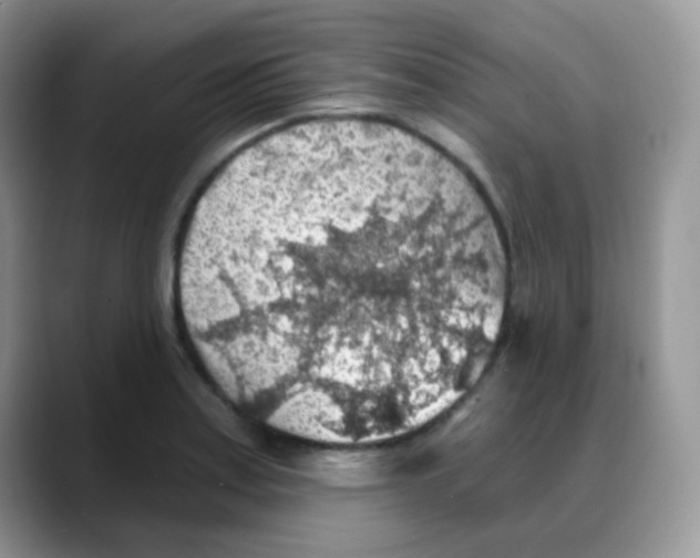 X0000088061179200706081643