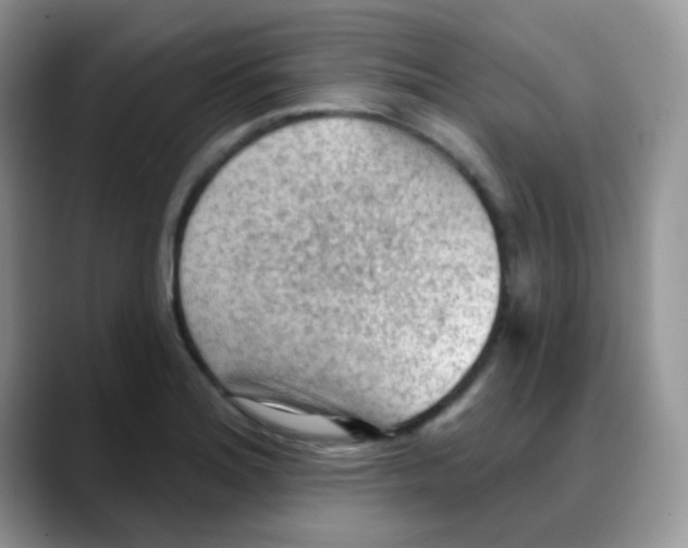 X0000088061180200706081643