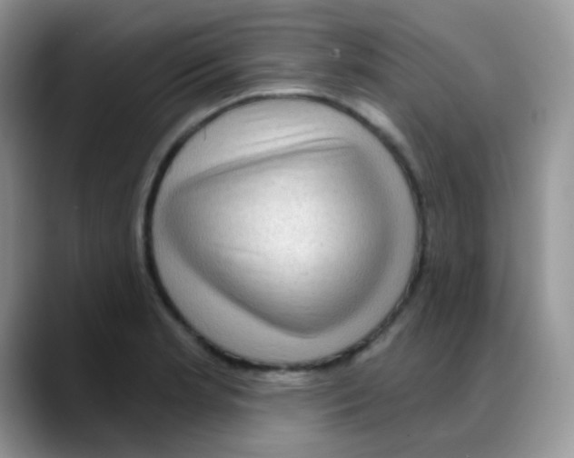 X0000088061181200706081643