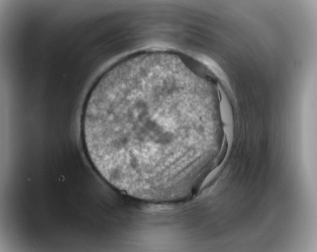 X0000088061183200706081643