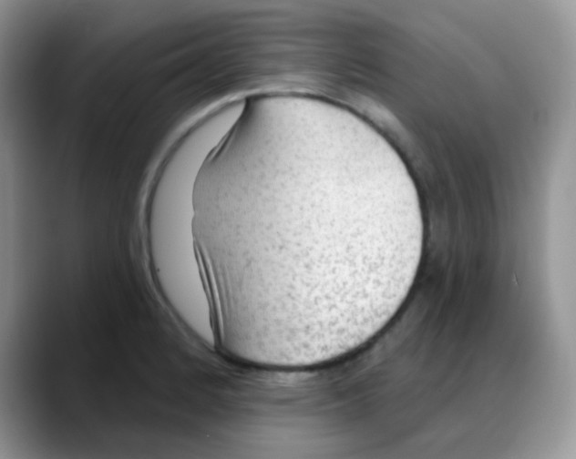 X0000088061184200706081643