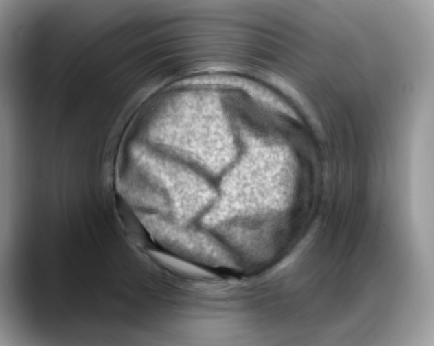 X0000088061185200706081643