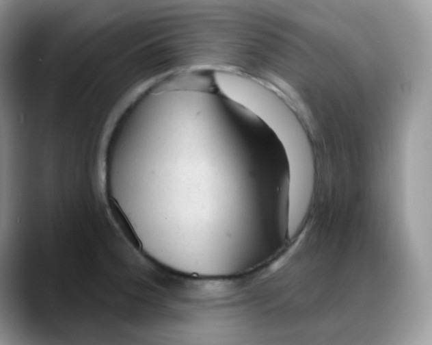 X0000088061188200706081643
