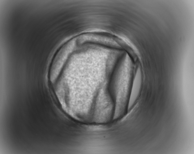 X0000088061189200706081643