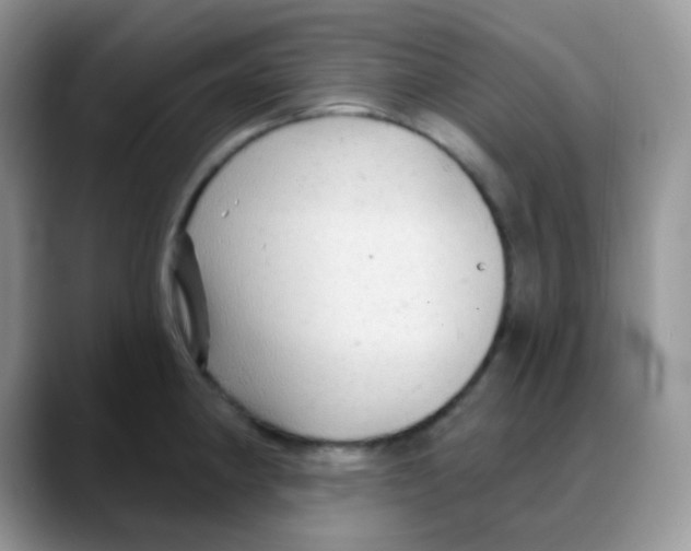 X0000088061190200706081643