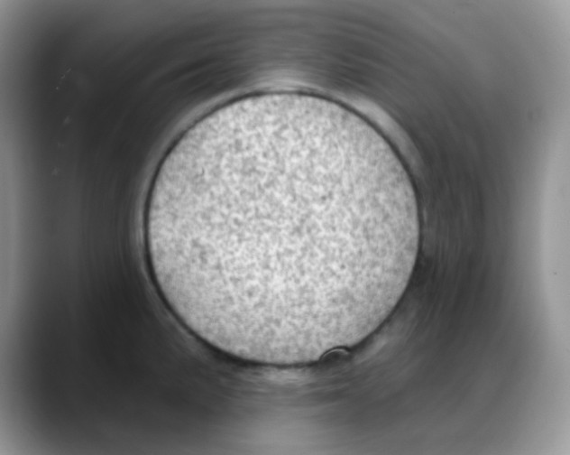 X0000088061191200706081643