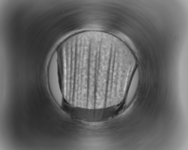 X0000088061192200706081643