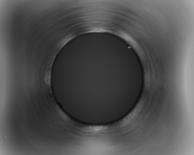 X0000088061193200706081643
