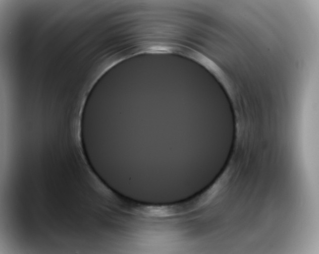 X0000088061194200706081643