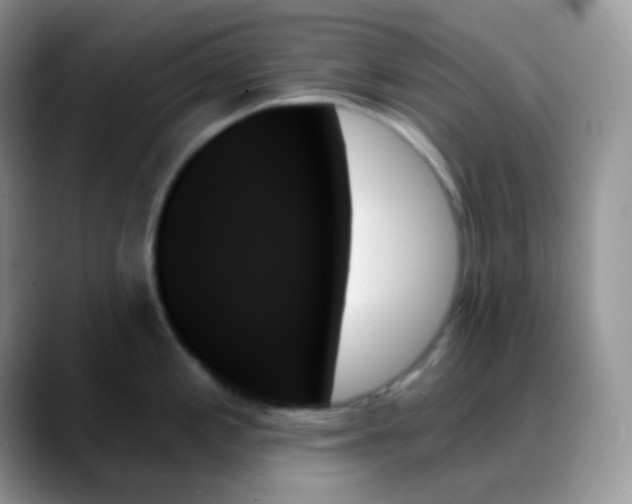 X0000088061197200706081643