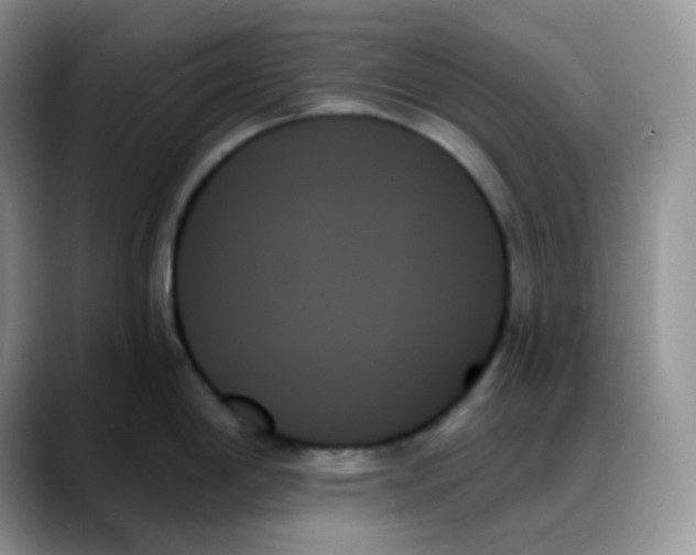 X0000088061198200706081643
