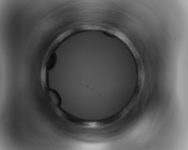 X0000088061199200706081643