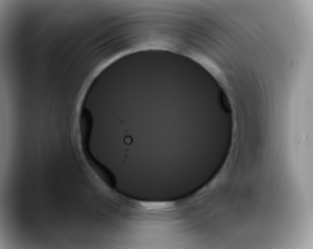 X0000088061200200706081643