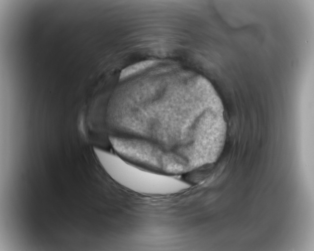 X0000088061202200706081642