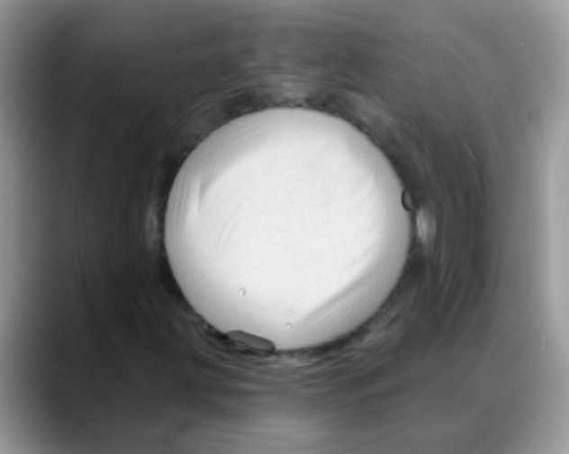X0000088061203200706081642