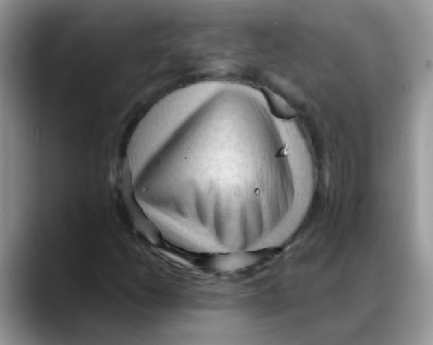 X0000088061206200706081642