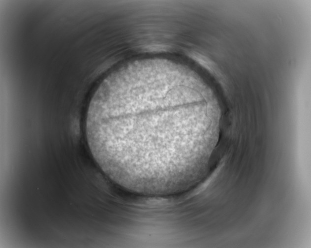 X0000088061209200706081642