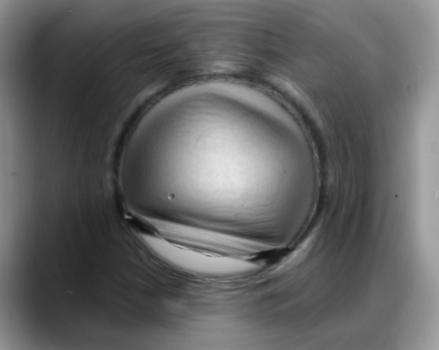 X0000088061210200706081642