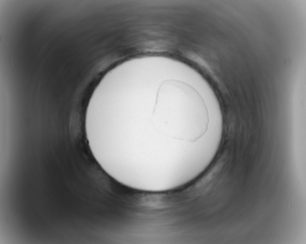 X0000088061211200706081642
