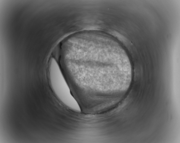 X0000088061212200706081643