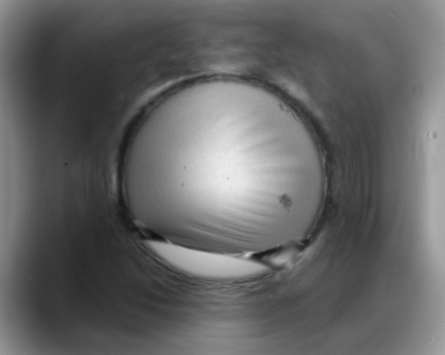 X0000088061214200706081643