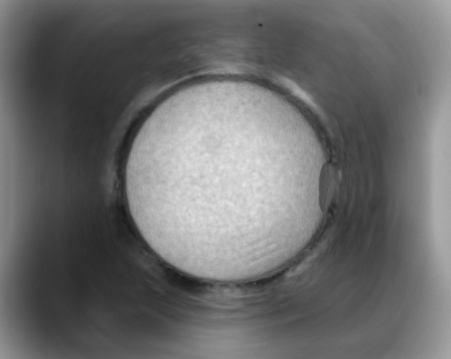 X0000088061215200706081643