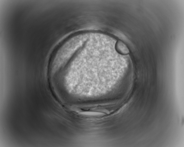 X0000088061216200706081643