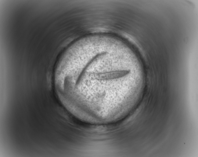 X0000088061217200706081643