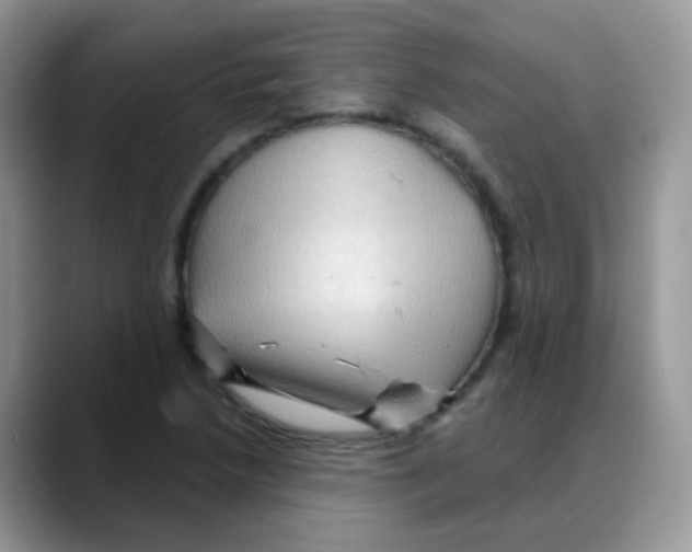 X0000088061218200706081643