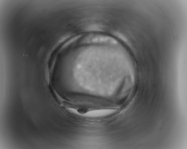 X0000088061219200706081643