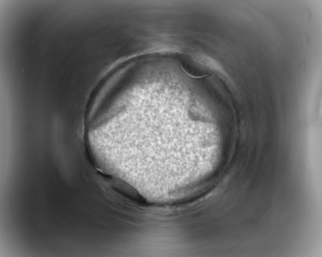 X0000088061220200706081643