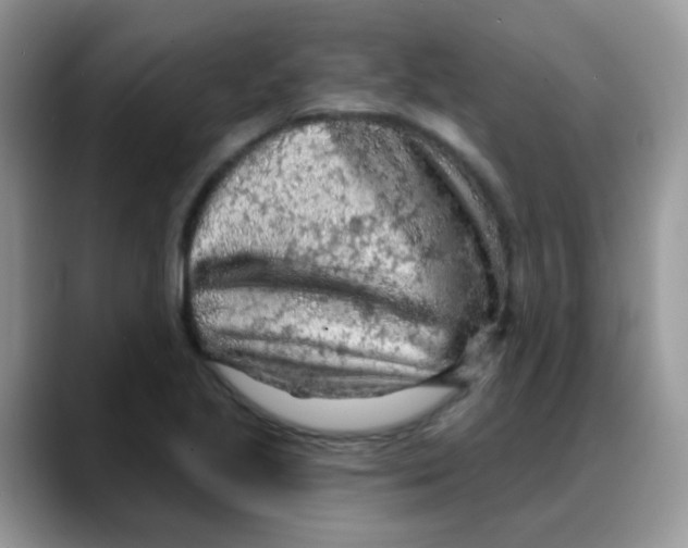 X0000088061221200706081643