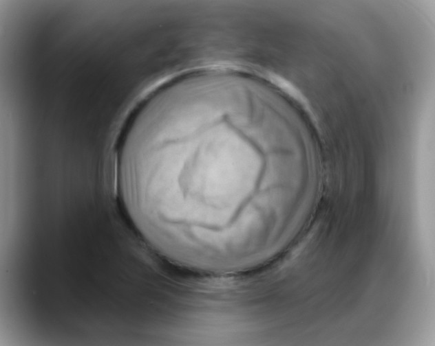 X0000088061223200706081643