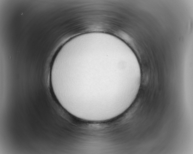 X0000088061227200706081643