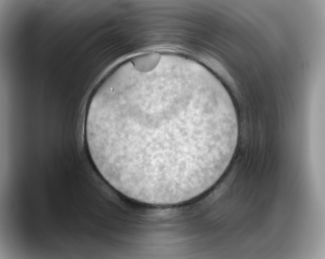 X0000088061228200706081643