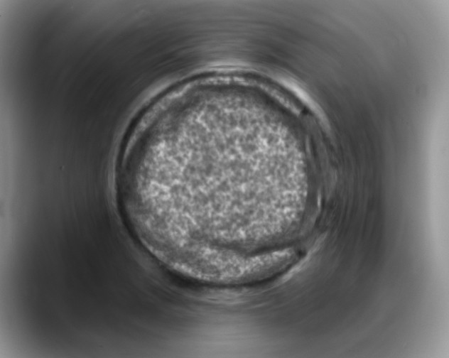 X0000088061229200706081643