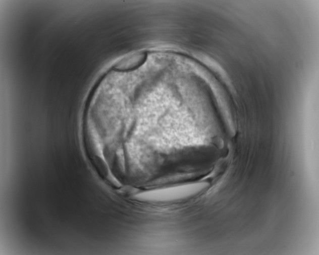 X0000088061231200706081643