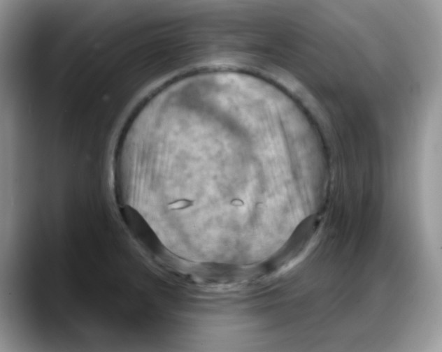 X0000088061232200706081643