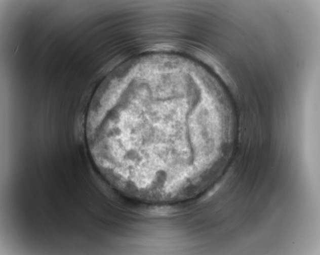 X0000088061233200706081643