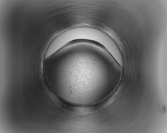 X0000088061234200706081643