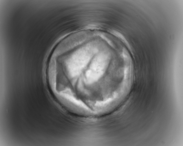 X0000088061235200706081643