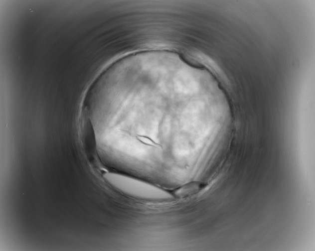X0000088061236200706081643