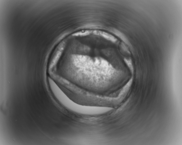 X0000088061237200706081643