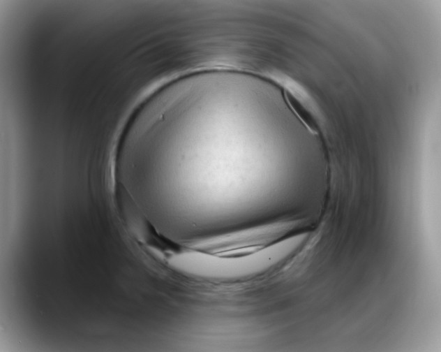 X0000088061238200706081643